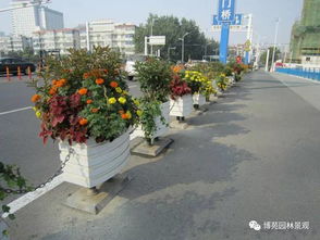 美化环境用博苑园林PVC道路花箱 为城市道路环保加油