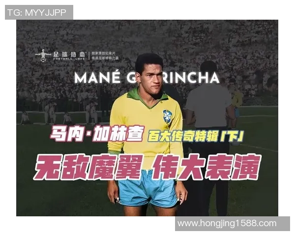 足球明星鸽子背后的故事与传奇人生揭秘